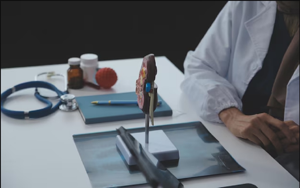 Pembroke Pines Mesothelioma Lawyer Vimeo