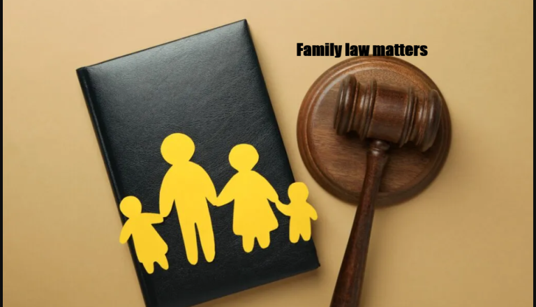 Read more about the article Understanding Family Law: A Comprehensive Guide to Your Rights and Legal Options
